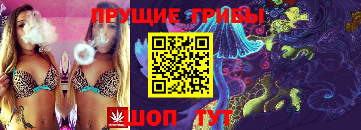 купить   Вход с VPN  Большой Камень  Псилоцибиновые грибы ЛСД 